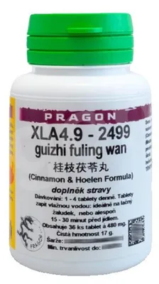 Imagen del producto de XLA4.9 - Guizhi Fuling Wan - Comprimidos/Tabletas PRAGON