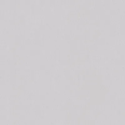 Obrázek produktu pro A.S. Creation | Art of Eden | 377022 | Vliestapete | Einfarbig | 10,05 m x 0,53 m | Hellgrau