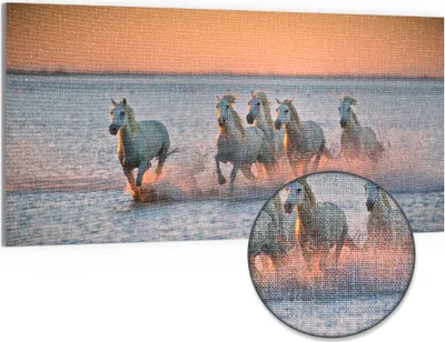 Produktbild von DEQORI Hybrid Leinwand Bild 100x50 cm 'Abendliche Freiheit' Wandbild Glas flach modern