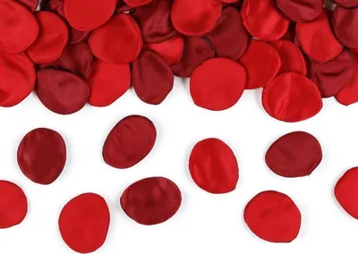 Produktbild von ROSENBLÄTTER Hochzeit Valentinstag Kommunion ROT-BURGUNDER 100St.
