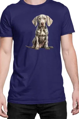 Immagine prodotto di Maglietta da uomo Dogs Breeds Weimaraner Dog Breed 006, Man M , Bleu foncé