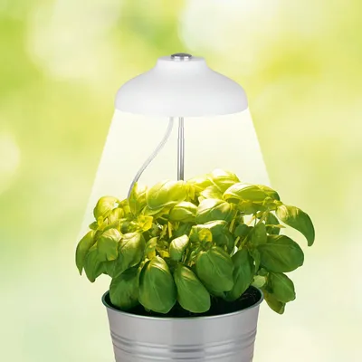 Image de Lampe télescopique à LED pour plantes Lampe pour plantes Spot pour plantes Éclairage pour plantes