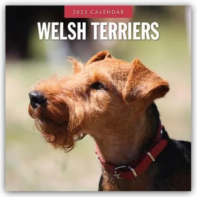 Immagine prodotto di Welsh Terrier - Welsh Terrier 2025 - Calendario di 16 mesi