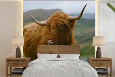 Produktbild von MuchoWow® Fototapete für Wohnzimmer oder Schlafzimmer Wandtapete Vinyl Motivtapete Schottischer Highlander - Berg - Straße - 350x350 cm - Schlafzimmertapete