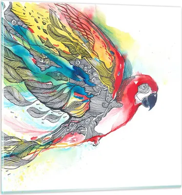 Produktbild von Bilder auf glas - Parrot Flügel Federn Natur - 60x60cm - Glasbilder - Wandbilder - Kunstdruck - zum Aufhängen bereit - Wanddekoration aus Glas - Glas Bilder - Wandbild auf Glas - GAC60x60-3008