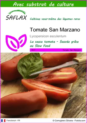 Image de SAFLAX  - Tomate San Marzano - 10 graines - Avec substrat - Lycopersicon