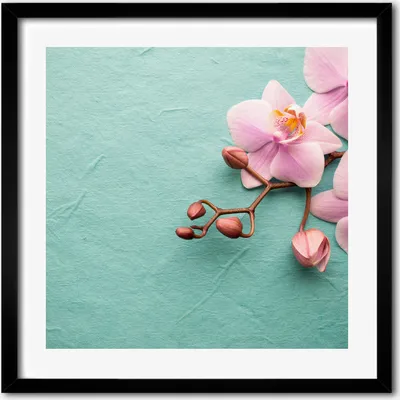 Produktbild von Bild - 50 cm x 50 cm - MDF - Rahmen, Wandkunst - Orchidee