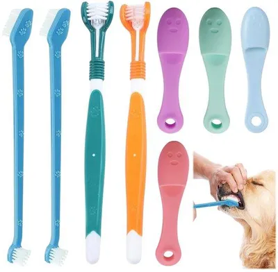 Image de Kit de toilettage pour chiens avec des brosses polyvalentes