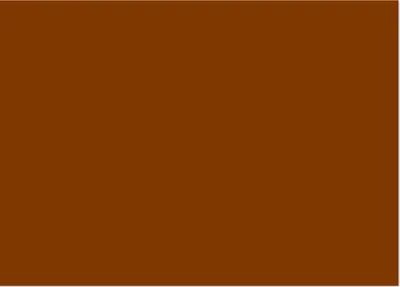 Zdjęcie produktu dla Brystol blok techniczny kolorowy 50 x 70 cm 180 g/m² 1 arkusz Brązowy