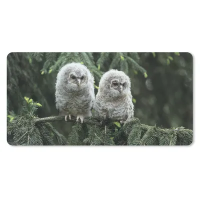 Produktbild von MuchoWow® Schreibtischunterlage Zwei kleine Eulen 80x40 cm - XXL Mauspad - Gaming Mauspad