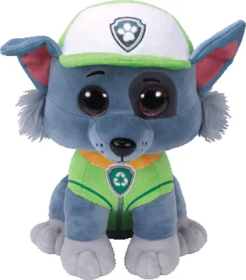 Image de TY Rocky