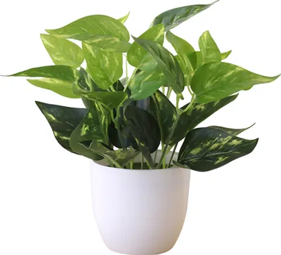 Produktbild von Frische künstliche Laubpflanze Topf Bonsai Hochzeitsdekor-(3)