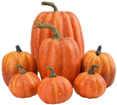 Immagine prodotto di Set decorativo con zucche - 7 pezzi - Decorazioni autunnali - Atmosfera festosa - Ideale per Halloween - Feste - Vacanze - Natale