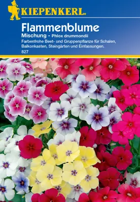 Produktbild von Kiepenkerl Flammenblumensamen Mischung