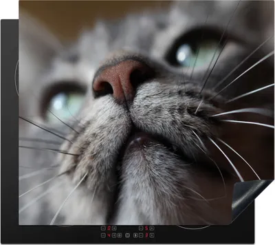 Produktbild von KitchenYeah© Herdabdeckplatte Katze - Nase - Schnurrhaare , 59x52cm, Küche Deko, Glaskeramikkochfeld Herdabdeckung, Abdeckplatte fùr Kochfeld