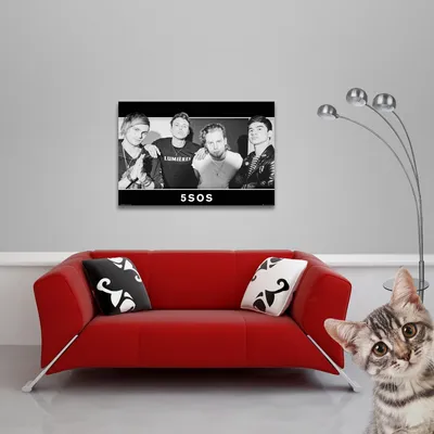 Produktbild von 5 Seconds Of Summer - Poster - Gruppe - Schwarz und Weiß + 2 St Posterleisten Holz 92 cm schwarz