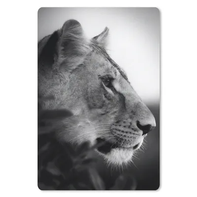 Produktbild von MuchoWow® Mauspad Mousepad Porträt eines Tigers im Dschungel - schwarz und weiß 40x60 cm - Mousepads - Maus Mat - Pad - Mausunterlage - Schreibtisch Accesoire