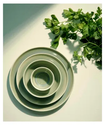 Produktbild von SAISONS Agave Speiseteller 26,5 cm