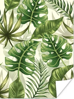 Produktbild von MuchoWow® Poster Monstera - Illustration - Weiß - Mädchen - Kinder - Jungen 30x40 cm - Wandplakat - Poster Kinderzimmer