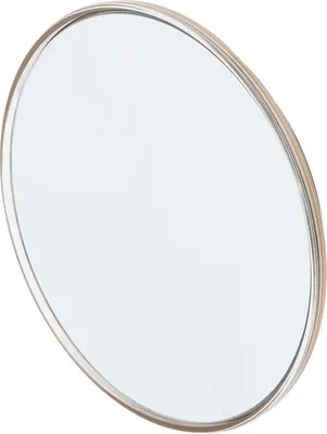 Produktbild von 30-fach vergrößernder Spiegel – 152 cm – runder Spiegel mit Saugnäpfen – leicht – tragbar – Make-up – Augenbrauentrimmen – für unterwegs – Gold.