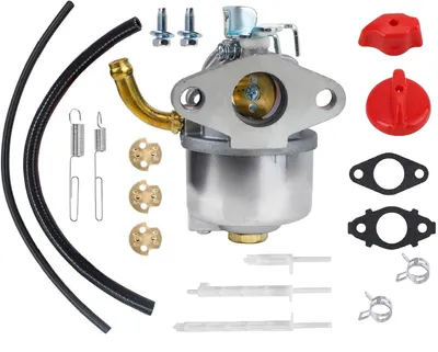 Productafbeelding van Vervangende Carburateur voor Sneeuwblazer 798917