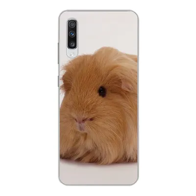 Produktbild von MuchoWow® Handyhülle Schutzhülle Hülle für Samsung Galaxy A70 Sheltie-Meerschweinchen Silikon Softcase Handy Hülle - Schutzhaube