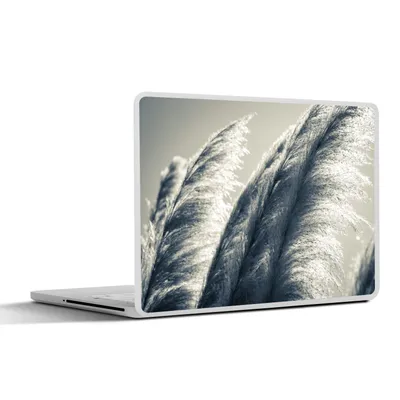 Produktbild von MuchoWow® Laptop Aufkleber Sticker Cover Pampasgras - Schwarz - Weiß - Natur 40x30 cm - Laptop Dekoration - Selbstklebend