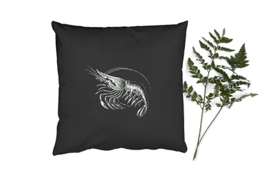 Produktbild von MuchoWow® Zierkissen Sofakissen Wohnzimmer Dekokissen 50x50 cm Shrimps - Vintage - Ernst Haeckel - Tiere - Kunst - Komfort - Sofakissen