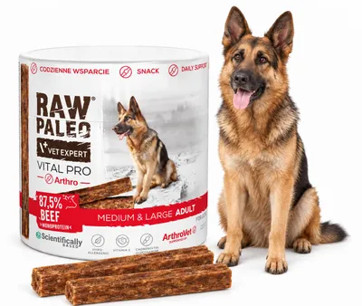 Imagen del producto de Bocadillo para perros VetExpert Raw Paleo Vital Pro, sabor a ternera, para articulaciones, tamaño M/L, 100 g, Imagen generada por IA