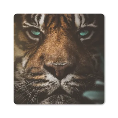 Produktbild von MuchoWow® Mauspad Mousepad Tiere - Tiger - Wild 20x20 cm - Mousepads - Maus Mat - Pad - Mausunterlage - Desk Mat - Bureauartikeln