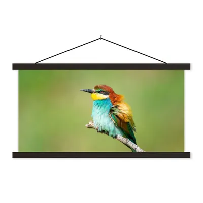 Produktbild von MuchoWow® Textilposter Vogel - Tiere - Bienenfresser 150x75 cm mit schwarzem Rahmen - Posterleiste