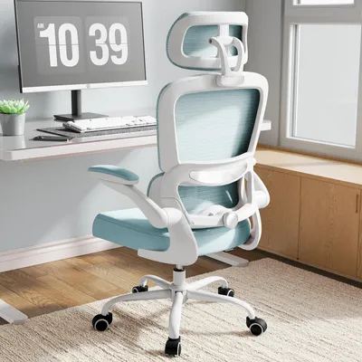 Immagine prodotto di Sedia da ufficio ergonomica con supporto lombare regolabile