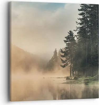 Produktbild von Bild auf Leinwand - Leinwandbild - Einteilig - Nebel See Wald - 40x40cm - Wand Bild - Wanddeko - Wandbilder - Leinwanddruck - Bilder - Wanddekoration - Leinwand bilder - Wandbild - AC40x40-4440