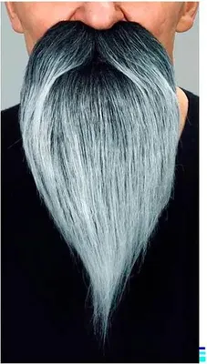 Image de Maman Barbe Et Moustache Grise Grise One Size