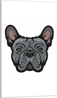 Produktbild von Herdabdeckplatte 30x52 Glaskeramikkochfeld Abdeckung Spritzschutz Glasplatte Deko Schneidebrett, Hund Grau