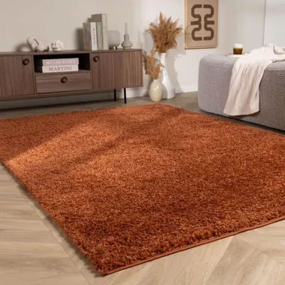 Image de Volero - Tapis à poils longs – Wish Terracotta - 80x150cm