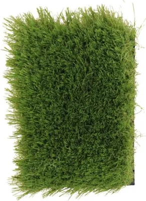 Image de Tapis en gazon Princess 150 x 200 cm – pour l'extérieur et l'intérieur