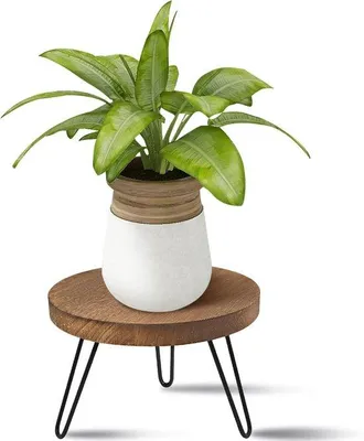 Produktbild von Famanu Pflanzenroller Ø 30 cm mit 5 Rollen, Tragkraft 150 kg, Natursteinoptik, Leigrau