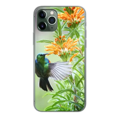 Produktbild von MuchoWow® Handyhülle Schutzhülle Hülle für iPhone 11 Pro Nahaufnahme eines bunten Vogels neben Pflanzen mit orangefarbenen Blüten Silikon Softcase Handy Hülle - Handy