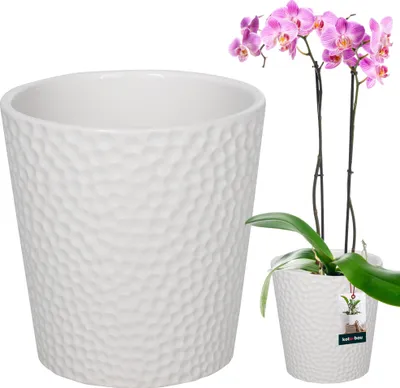 A white ceramic pot with a textured surface is shown next to a potted orchid with pink flowers.