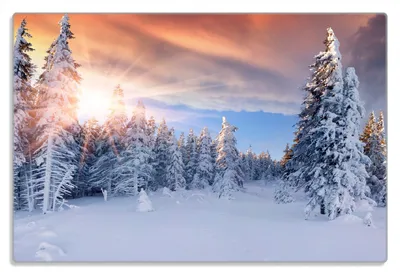 Produktbild von Wallario Frühstücksbrettchen aus Glas 20 x 30 cm mit rutschfesten Füßen, Motiv Sonnenaufgang  über  einen  Winterwald
