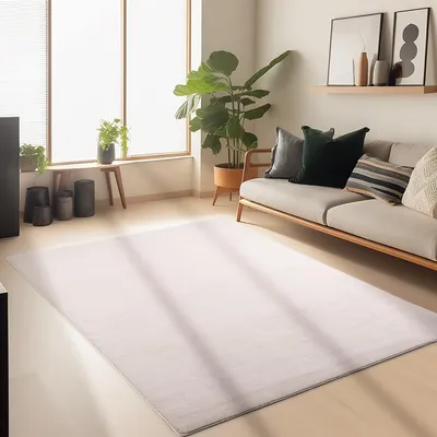 A living room scene with a sofa, plants, and a large rug.