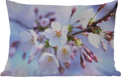 Produktbild von MuchoWow® Outdoor Kissen - Blumen - Sakura - Zweig - 60x40 cm - Wetterfest - Lounge Kissen - Zierkissen - Kissen für Innenräume