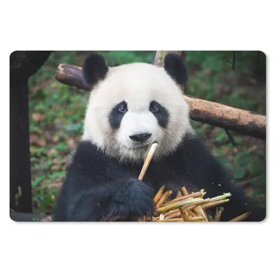 Produktbild von MuchoWow® Mauspad Mousepad Panda - Bambus - Natur 27x18 cm - Mousepads - Maus Mat - Pad - Mausunterlage - Büroartikel - Desk Matten