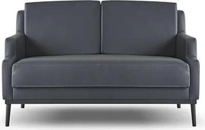 Produktbild von Sofa 2-Sitzer Dunkelgrau Einfarbig Modern Stil Design Arbeitszimmer