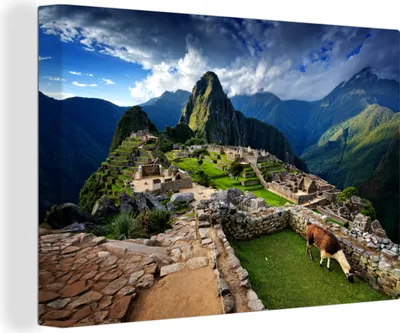 Produktbild von MuchoWow® - Leinwandbilder - Lama - Machu Picchu - Gras, Wandbild, Wanddeko Bilder Wohnzimmer, 90x60cm