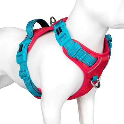 Image de Harnais pour chien anti-traction, réglable, avec poignée, rouge/bleu pétrole, taille L