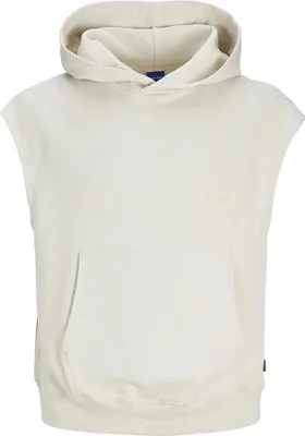 Immagine prodotto di Jack & Jones Felpa con cappuccio Haze Beige L Uomo Beige L