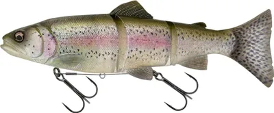Produktbild von Savage Gear 3D LT Trout 20cm/98G S Clear Rainbow Trout Gummifisch Shad