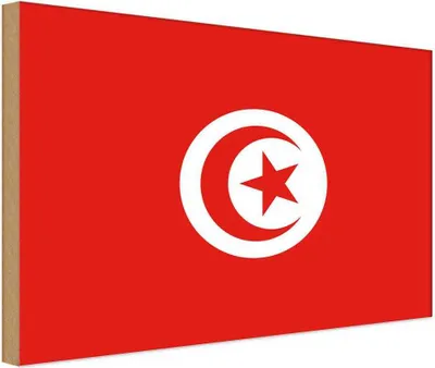Image de vianmo Panneau en bois 12x18 cm Drapeau Tunesiens Flag of Tunisia